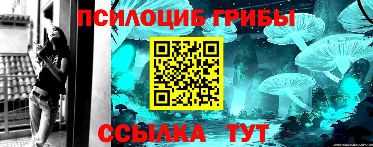 Галлюциногенные грибы MAGIC MUSHROOMS  Галлюциногенные грибы Cubensis  Семёнов  наркота  Вход с VPN 